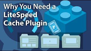 Why You Need a LiteSpeed Cache Plugin