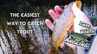 The easiest way to catch Brown Trout