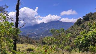 Viajando a un Maravilloso Paisaje TROPICAL, Montaña Ríos y Flores - Creación Tv - CREACIÓNTV