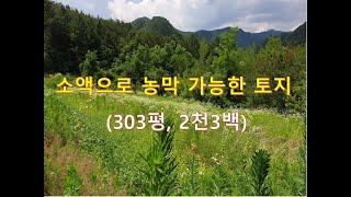 정선부동산 정선토지 "소액으로 농막가능한 토지매매" 2천3백 정선싼땅 오지땅 귀촌토지 나홀로토지/ 정선대복부동산