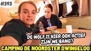 #393 ZIJN WE BANG VOOR DE WOLF? I RCN Camping de Noordster Dwingeloo