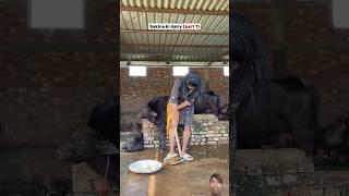 Sakina ki dairy #shortvideo #comedy #viralvideo #funny #shortsfeed #subscribe
