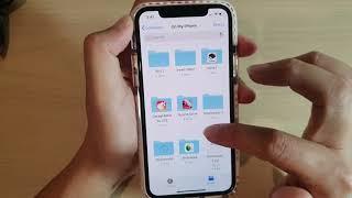 iPhone 11: How to Copy, Duplicate, Move, Delete files in Files App