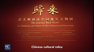 Chinese cultural relics returned from Italy on display