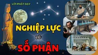 Tại Sao Nghèo Khó? Tại Sao Chúng Ta Gặp Phải Số Kiếp Lận Đận? | Lời Phật Dạy Về Nghiệp Báo