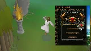 Soul Wars Blue Icon Glitch