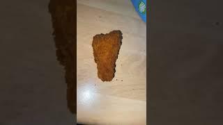 Hail the chicken goujon