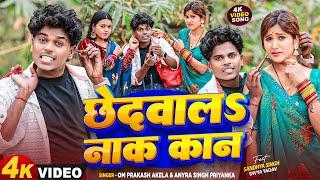 #4K_VIDEO - छेदवालS नाक कान | #Om_Prakash_Akela, #Antra_Singh_Priyanka | Chhedwala | New Maghi Song