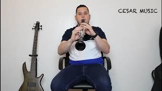 how deep is your love (cover clarinet)