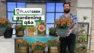 Gardening Q&A | Mr Plant Geek