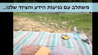 טיולי באגיס - הפקות שטח.wmv