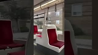 TTC 8133 live ride Patrece Sunflower is live! 1/1/2025