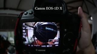 Live View Shooting: Canon 1DX Mark II vs 1DX