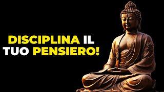 DISCIPLINA IL TUO PENSIERO CON QUESTA STORIA ZEN