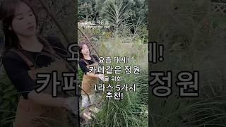카페같은 정원 만들기 필수템!그라스정원 만들기