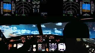 Duo flight from ULLI (St Petersburg) to UUEE (Moscow) in B737-800 homecockpit (P3D V4 PROSIM)