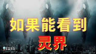 生命智慧  63 - 如果能够看见灵界，你会看到什么 - 这场战争是在灵界中进行的，它正在物质世界中表现出来 l 装备生命