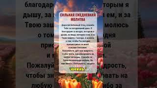 СИЛЬНАЯ ЕЖЕДНЕВНАЯ МОЛИТВА