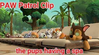 PAW Patrol Clip | The Pups having a spa