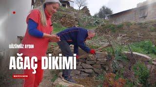 Ağaçlarımızı  diktik.  Arpaz kalesini  gezdik. #köydeyaşam #naturallife #doğa #farmlife