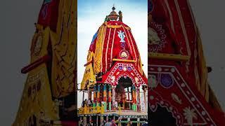 कैसा होता है भगवान जगन्नाथ का रथ ? || Jagannath Puri Rathyatra 2023 || #jagannath #rathyatra