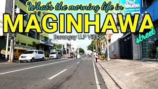 morning SCENE in MAGINHAWA  Street  U.P Village | QUEZON CITY / 