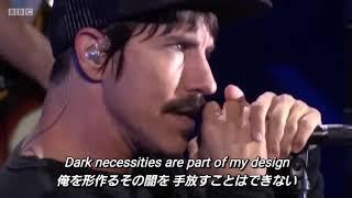 【和訳】Dark Necessities ‐ Red Hot Chili Peppers (Live at Reading Festival 2016)