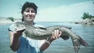 Michigan Elk History - Walleye Ice Fishing - Recipe Venison Pate 1989-12-14