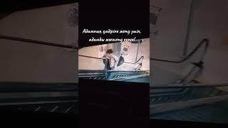 Ұяламын но Үй алам
