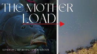 We found the mother load - winter carp shoaled up and feeding!!