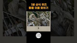 동물 이름 맞히기 상식퀴즈 #상식익힘책 #상식문제 #상식퀴즈 #동물