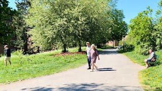 Stockholm Walks: Helgalunden, Södermalm. Beautiful, green area on a hill between city streets.