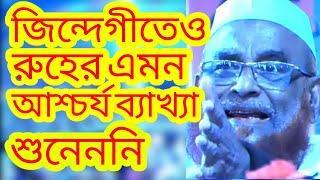 রুহ ও নফসের অবাক করা ব্যাখ্যা এবং নবীদের আত্মা আজীবন নিষ্পাপ ওলিপুরী Bangla Waz Olipuri