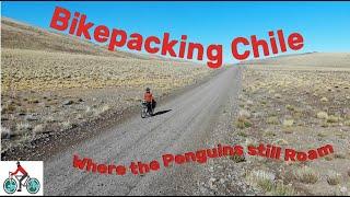 Bikepacking Chile - "Where the Penguins still Roam" (The Journey North, Episode 4)