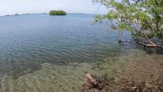 trying to catch my first barracuda! (Fishing in GITMO)