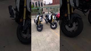 #Mt-09 #z900 #grom #yamaha #subscribe #viralvideo #viral #bikelife #bikelover