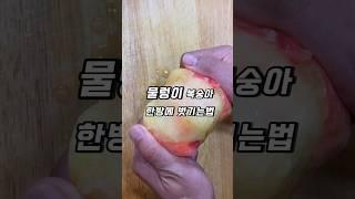 물렁이 복숭아 껍질 벗기는법