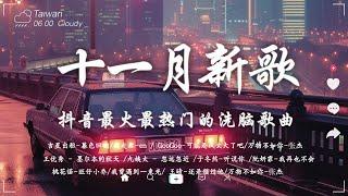 11月新歌douyin 抖音歌曲2024  2024流行歌曲『 我走后 - en, 向思思 - 總會有人, 若月亮沒來, 張妙格 - 我期待的不是雪,GooGoo - 可能是風太大了吧 』