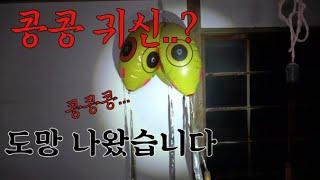 일본 흉가체험 중 만난 콩콩귀신..? 우연히 발견한 폐축사에서 무슨일이..