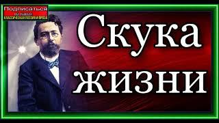 Скука жизни ,Антон Чехов ,Русская Проза ,читает Павел Беседин