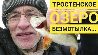 Тростенское озеро. Безмотылка, поиск окуня. Рыбак Андрей Николаев.