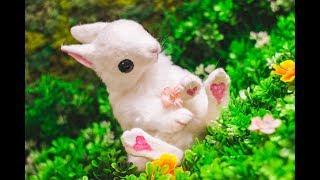 Baby Bunny Art Doll Tutorial