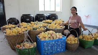 The rural girl uses 1,500 pounds of peaches, brewed peach wine, do you want to drink?