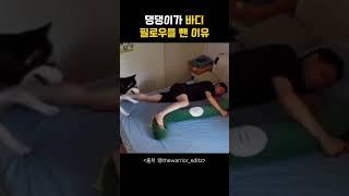 바디필로우를 뺀 이유