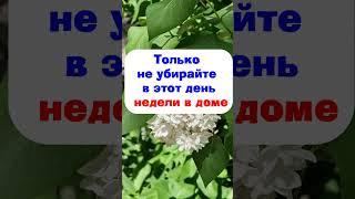 Только не убирайте в этот день недели в доме по народным приметам