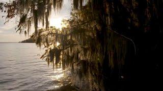 Secrets Of Albemarle Sound: Exploring North Carolina's Coastal Treasures | Exploring Creation Vids