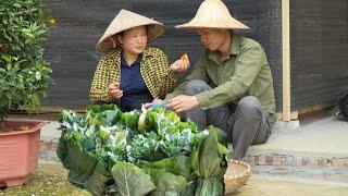 Villagers come to help grow vegetables, take care of animals