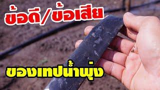 ข้อดี/ข้อเสีย! ของสายน้ำหยด หรือเทปน้ำพุ่ง จากประสบการณ์ใช้งานจริงครับ