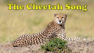 The Cheetah Song | Animal Songs for Kids | Fun Cheetah Facts for Kids | Silly School Songs 