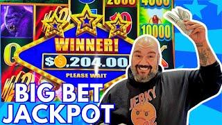 BOLD GAMBLE HUGE PAYOUT!! with VegasLowRoller